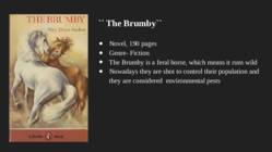 My book review the brumby #2