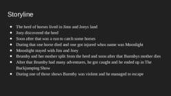 My book review the brumby #4