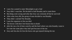 My book review the brumby #5