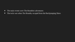 My book review the brumby #6