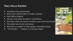 My book review the brumby #7
