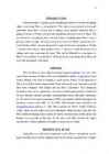 Nokia Report #3