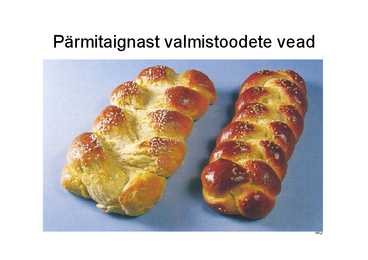 Pärm #40