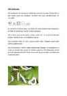 Siid #3
