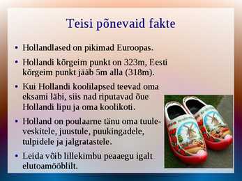 Holland #7