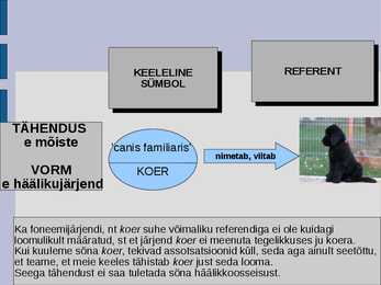 üldkeeleteadus #4