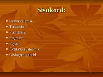 Powerpoint esitlus Oravast #2