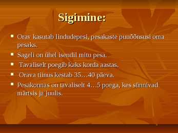 Powerpoint esitlus Oravast #6