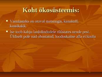 Powerpoint esitlus Oravast #8
