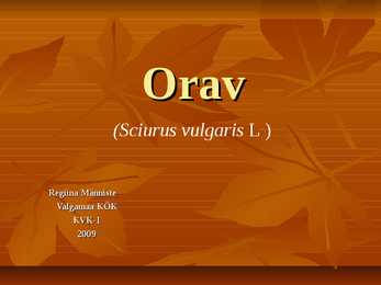 Powerpoint esitlus Oravast