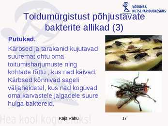 Toiduhügieeni alused #17