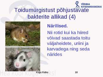 Toiduhügieeni alused #18