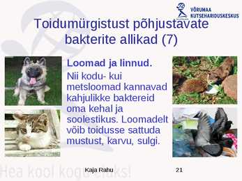 Toiduhügieeni alused #21