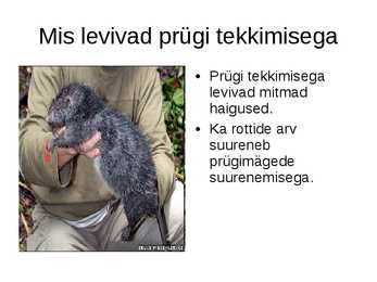 Jäätmed-kui ülemaailmne keskkonna probleem #4