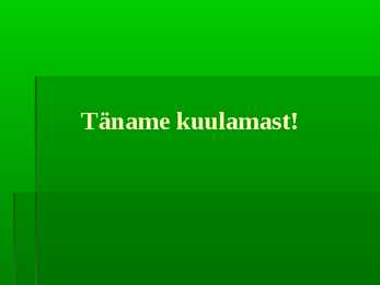 Palumets #13