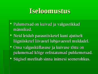 Palumets #3