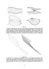 Autocad II #8
