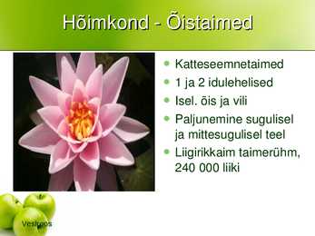 Taime süstemaatika #4