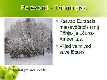 Taime süstemaatika #8