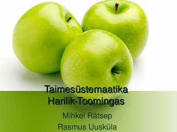 Taime süstemaatika