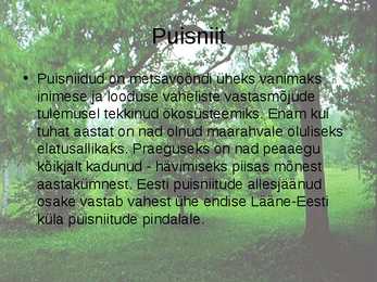Puisniit #2