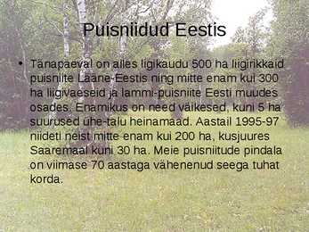 Puisniit #3
