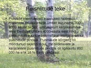 Puisniit #5