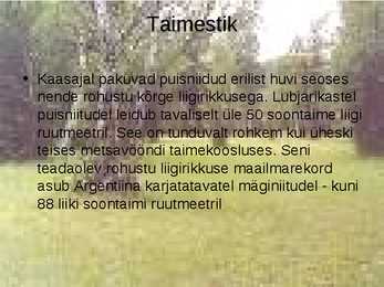 Puisniit #7