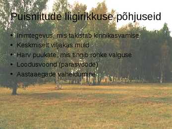 Puisniit #8