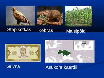 Ukraina #11