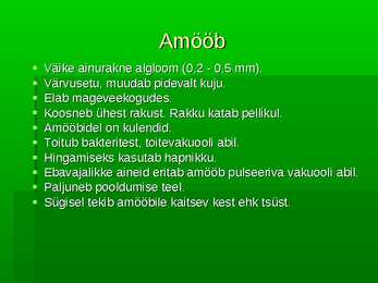 Algloomad-Powerpoint esitlus #3