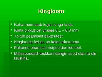 Algloomad-Powerpoint esitlus #5