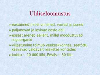 Sõnajalgtaimed #2