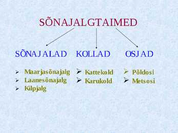 Sõnajalgtaimed #5