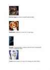 Cats #8