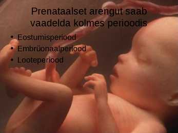 Inimese prenataalne areng #3