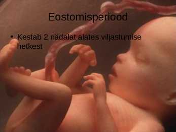Inimese prenataalne areng #4