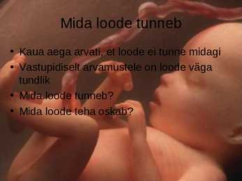 Inimese prenataalne areng #9