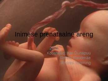 Inimese prenataalne areng