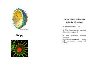Gripp #2