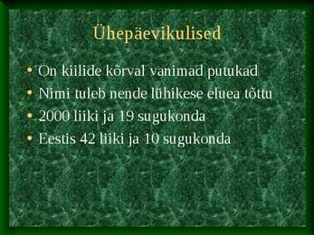 Ühepäevikulised #2