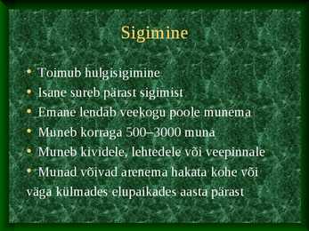 Ühepäevikulised #5