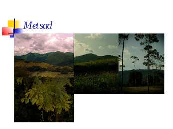 Venetsueela #23