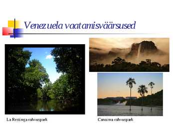 Venetsueela #37