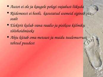 Ökojalajälg #12