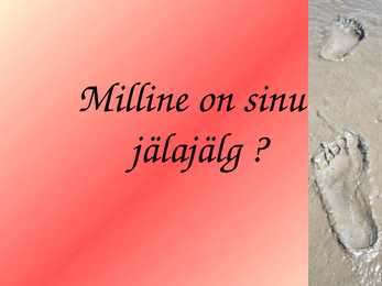 Ökojalajälg #19