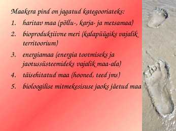 Ökojalajälg #4