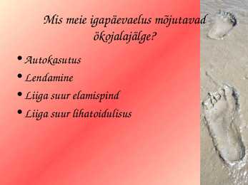 Ökojalajälg #8