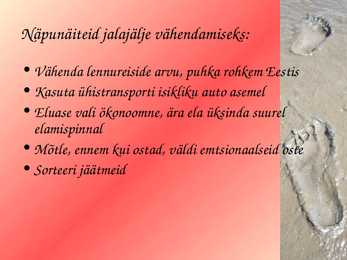 Ökojalajälg #9