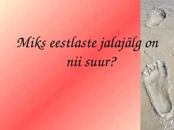 Ökojalajälg #10